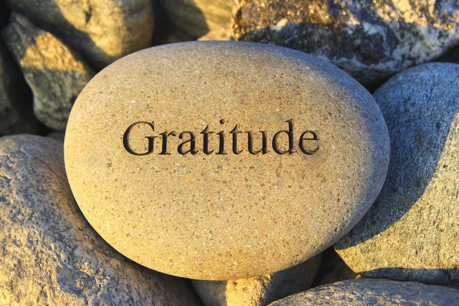 gratitude-speech-gratitude-speech-good-morning-to-everyone-to-all